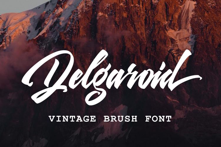 Delgaroid Font