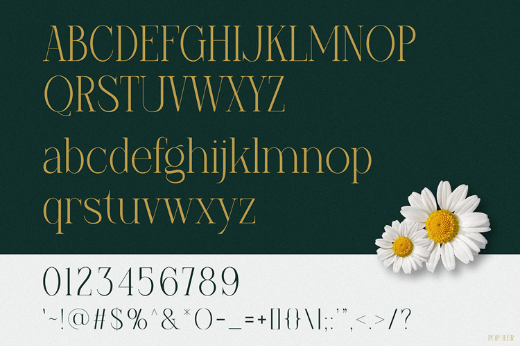 Preview of Populer Font