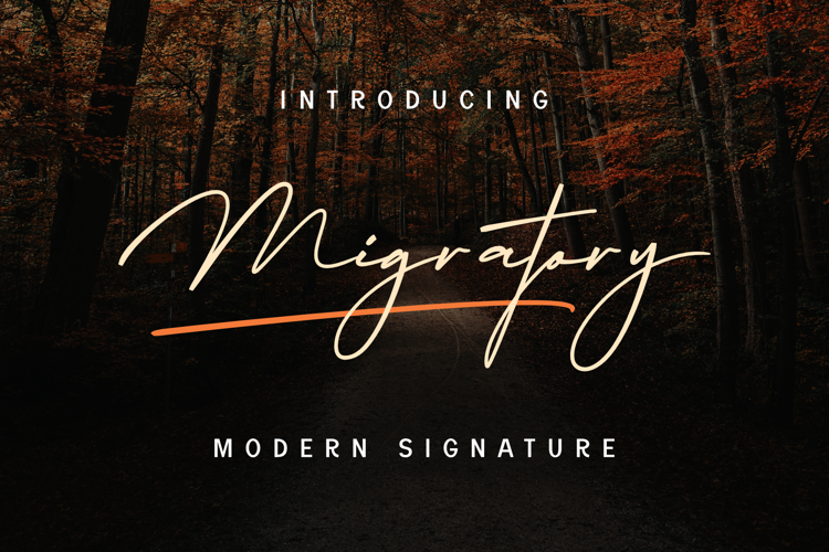 Migratory Font