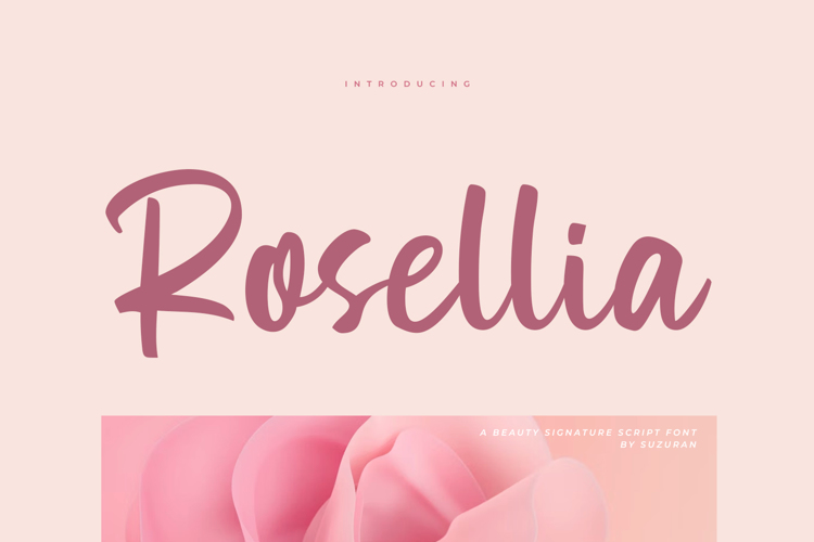 Preview of Rosellia Font