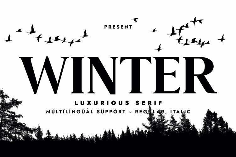 Preview of WINTER Font