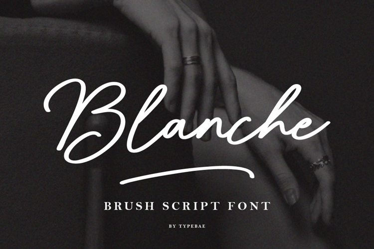 Blanche Font | Typebae | FontSpace
