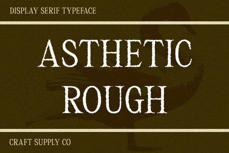 Asthetic Rough Font