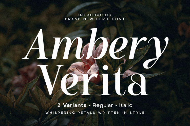 Preview of Ambery Verita Font