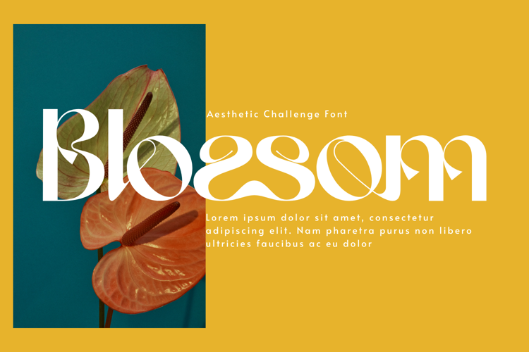 Preview of Aesthetic Challenge Font