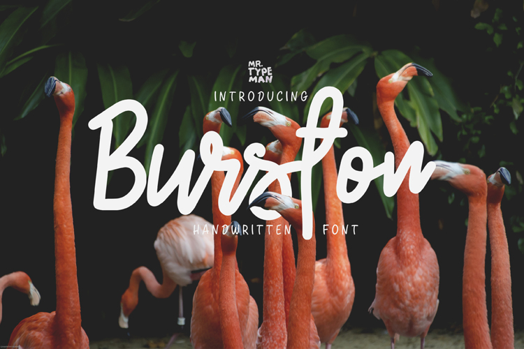 Burston Demo Font