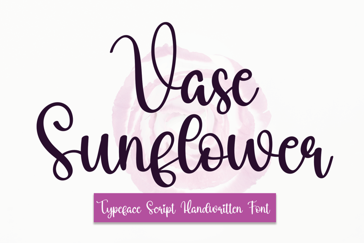 Vase Sunflower Font