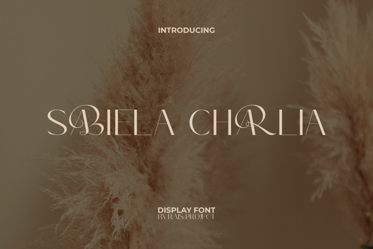 Preview of Sabiela Charlia Font