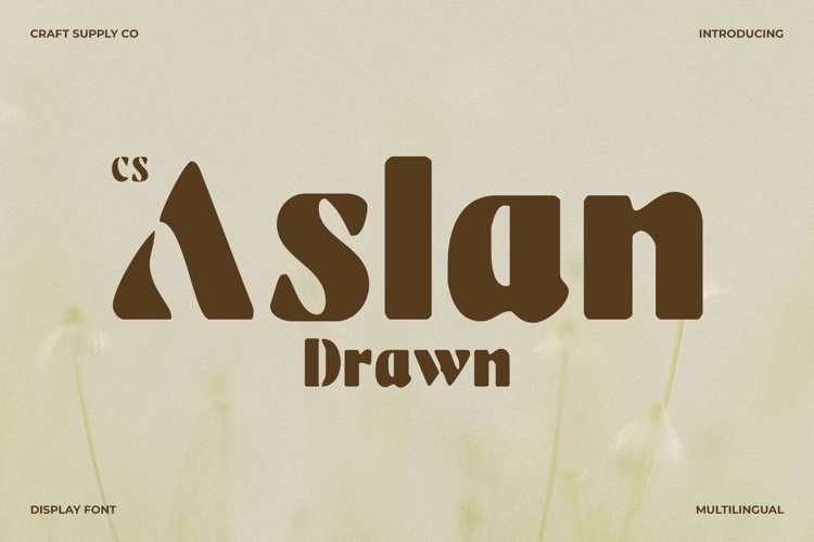 Preview of CS Aslan Drawn Font