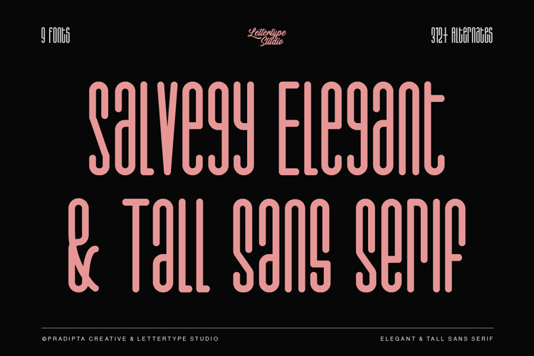 Salvegy Font