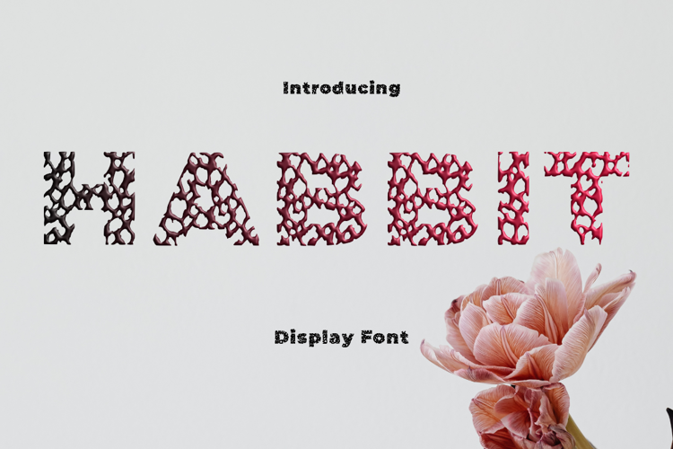 Habbit Font