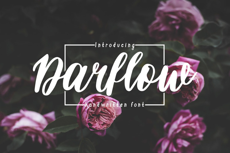 Darflow Font