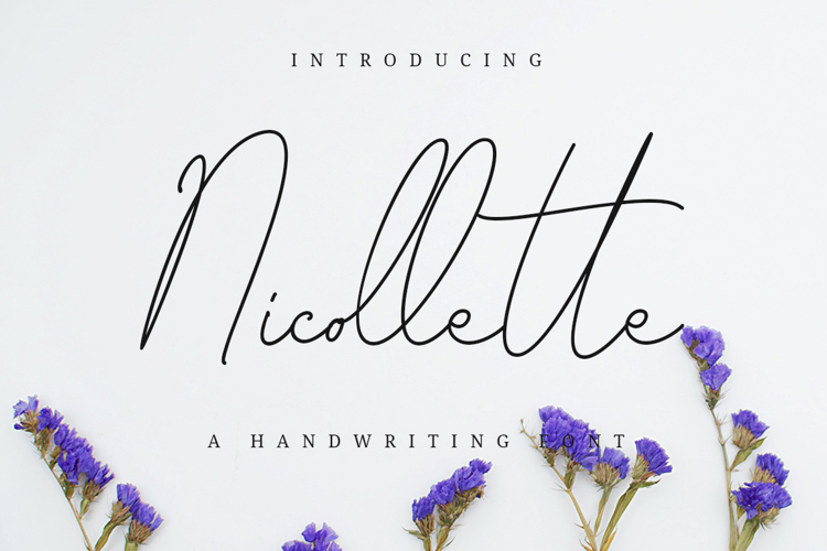 Nicollette Monoline Font