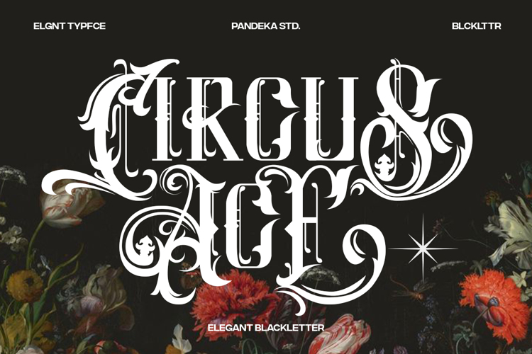 Preview of Circus Ace Font