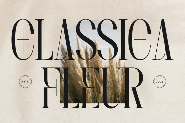 Preview of Lequano Font