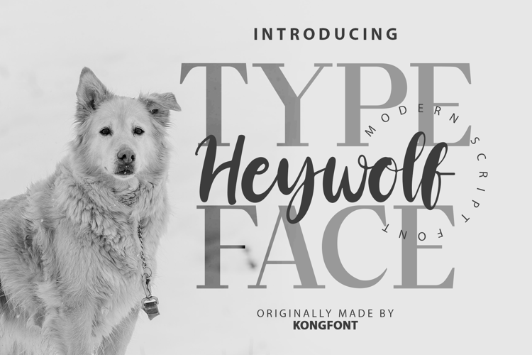 Heywolf Font
