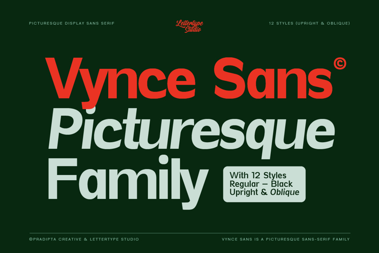 Vynce Sans Black Font