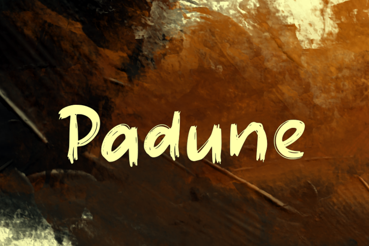 Padune Font