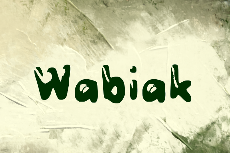 Preview of w Wabiak Font