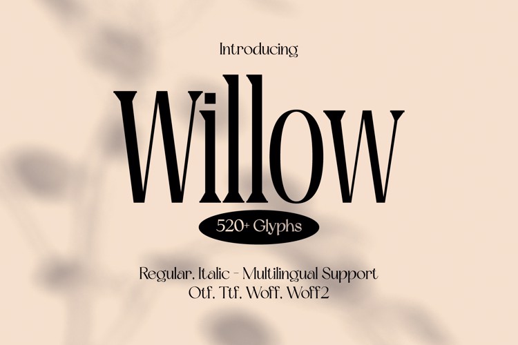 Preview of Willow Font