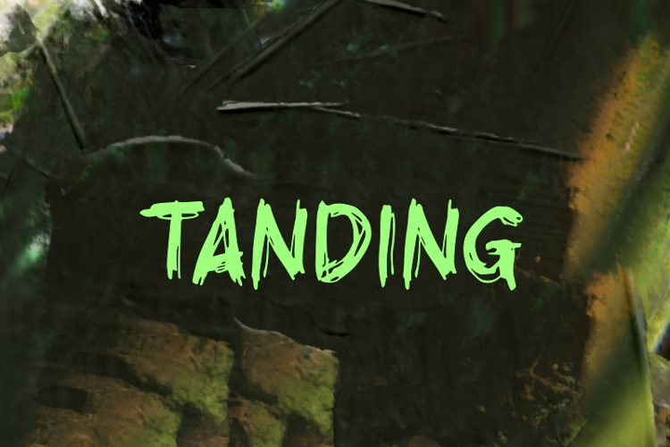 t Tanding Font