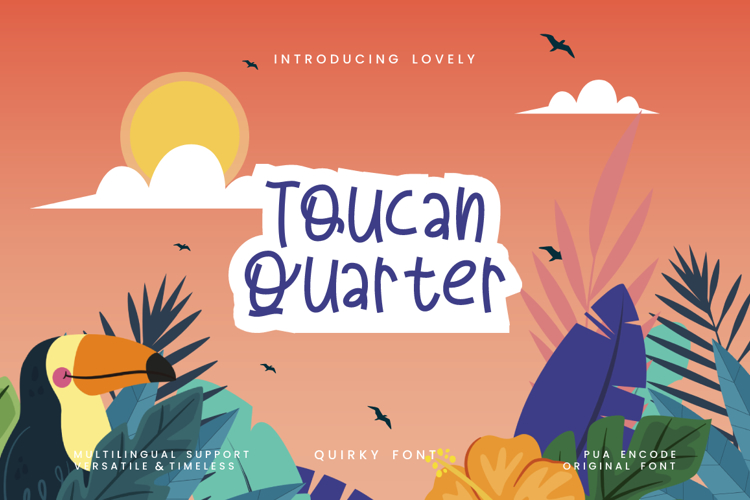 Toucan Quarter Font