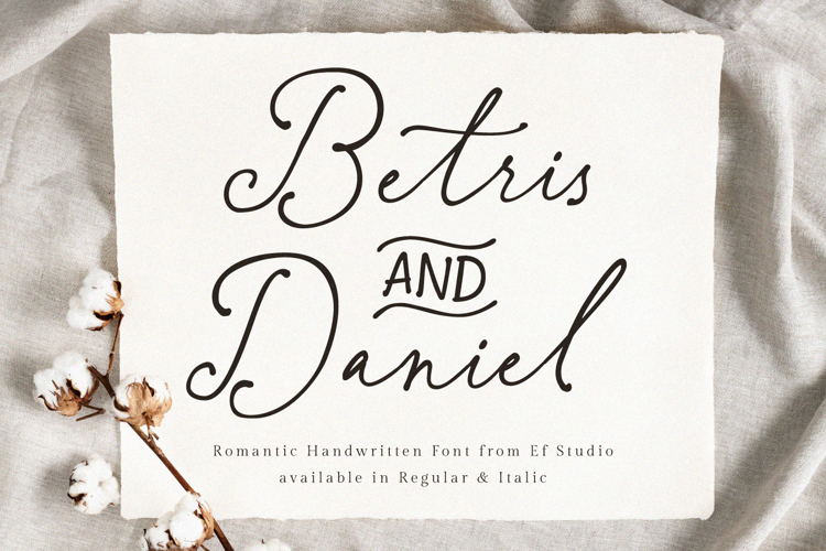 Preview of Betris & Daniel Font