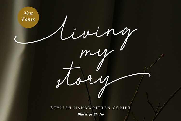 Preview of living my story Font