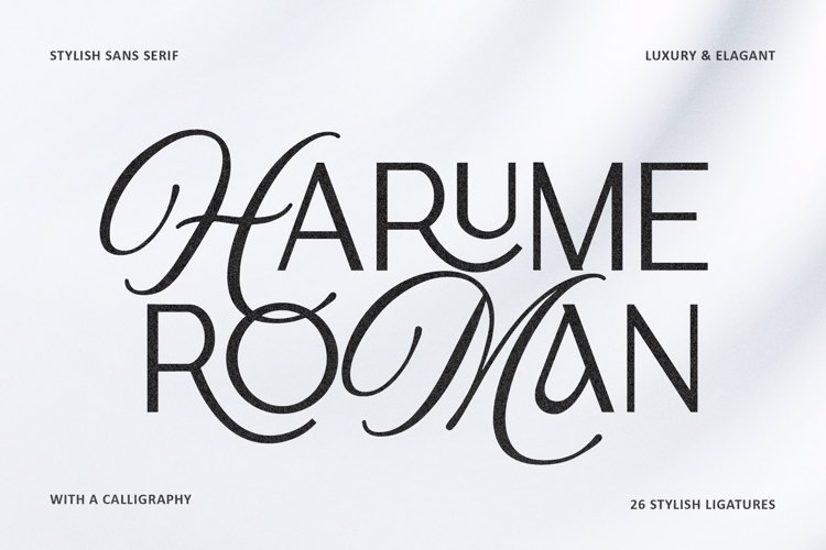 Harume Roman Font