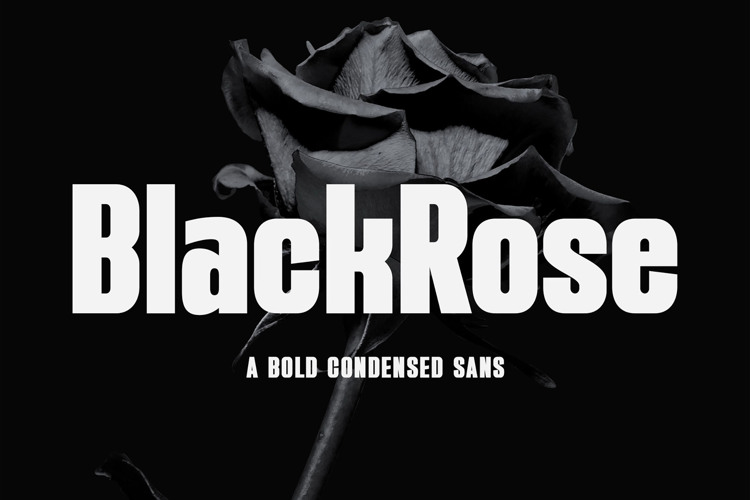 Preview of Black Rose Font