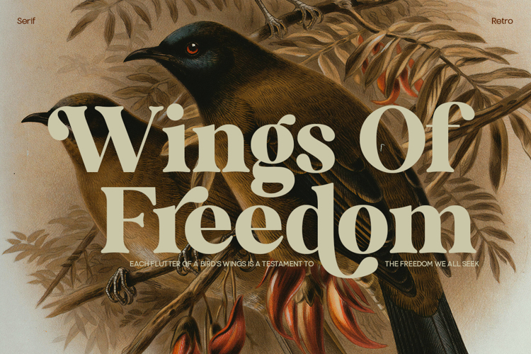 Preview of TBJ Kind Charm Serif Retro Font