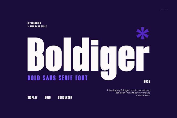 Preview of Boldiger Font