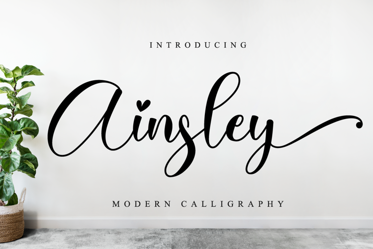 Ainsley Font