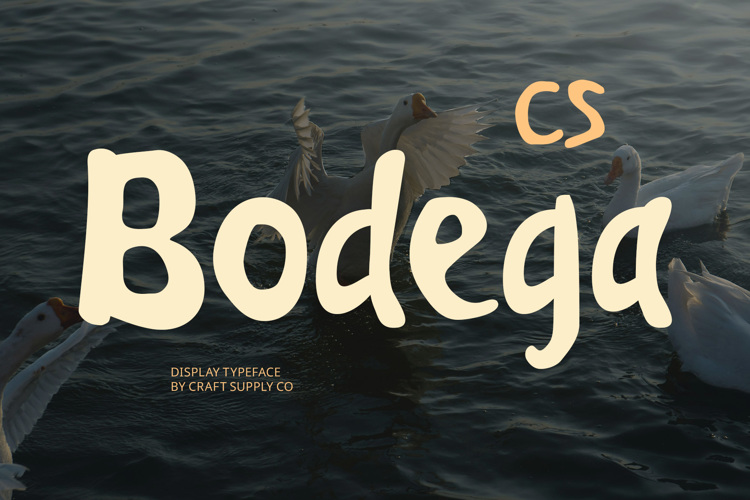 Preview of CS Bodega Font