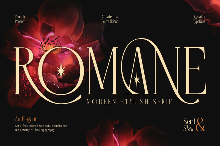 Preview of Romane Font