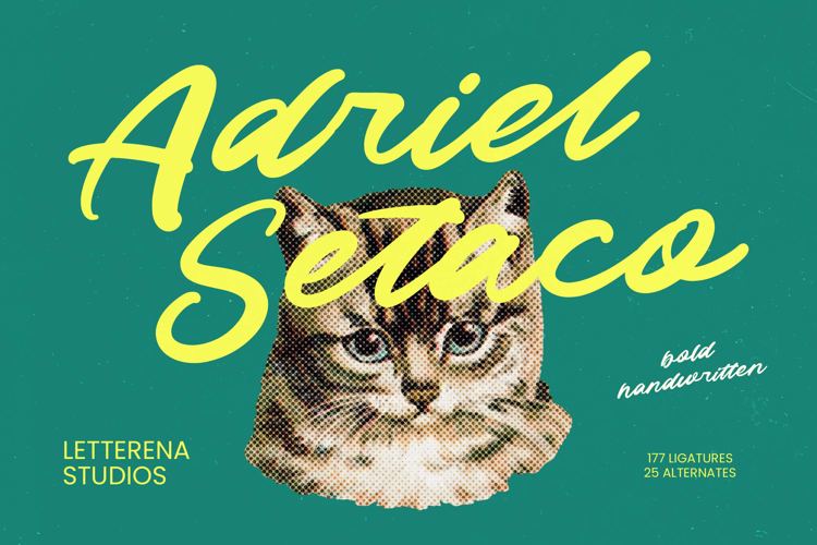 Preview of Adriel Setaco VERSION Font