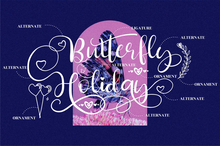 Butterfly Holiday Font