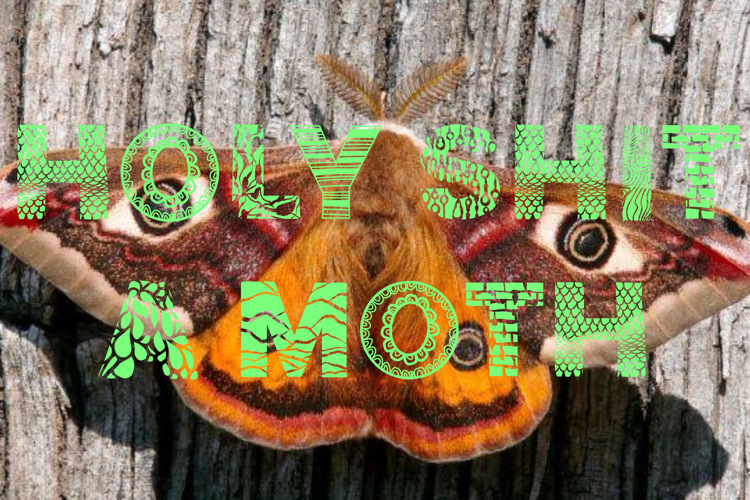 Preview of Texturama Font