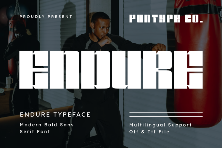 Preview of Endure Font