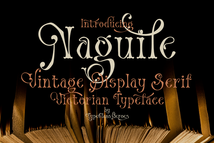 Preview of Naguile Display Serif Font