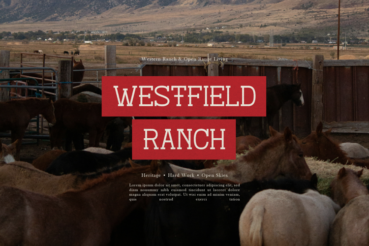 Preview of Therodit Font