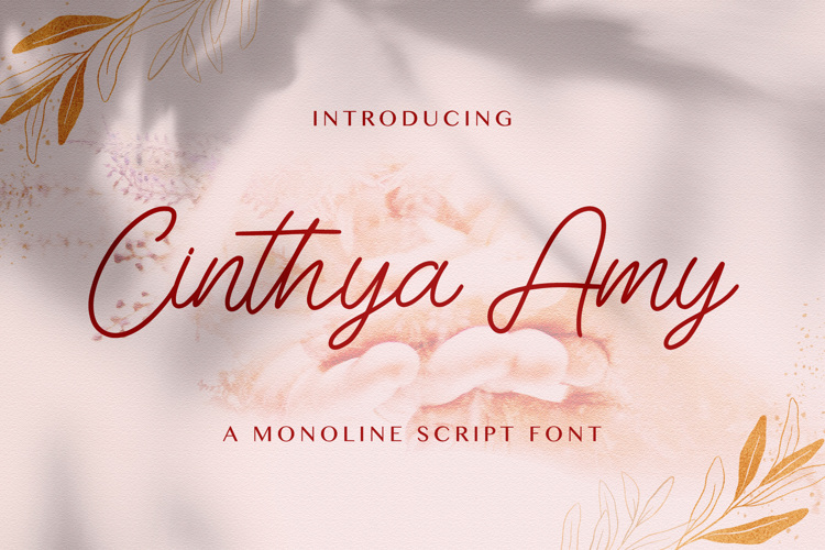 Cinthya Amy Font