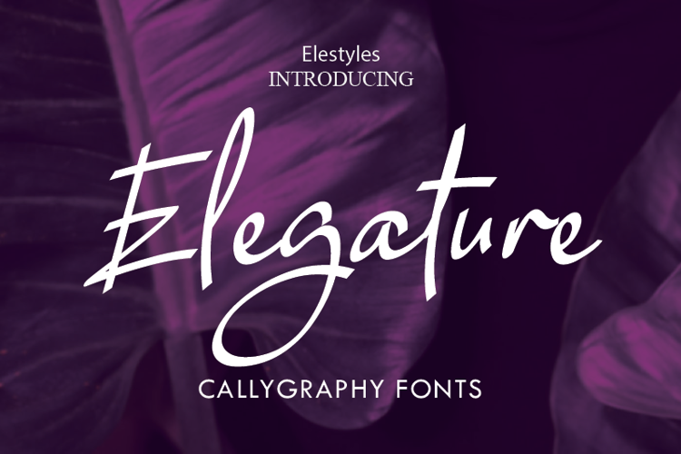 Elegature Font