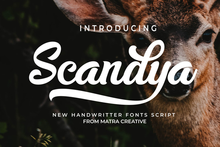Scandya Script Font