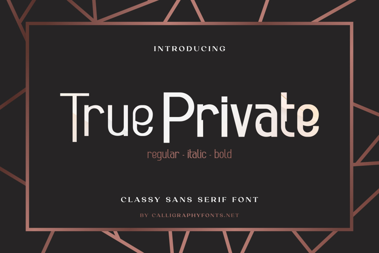 True Private Font