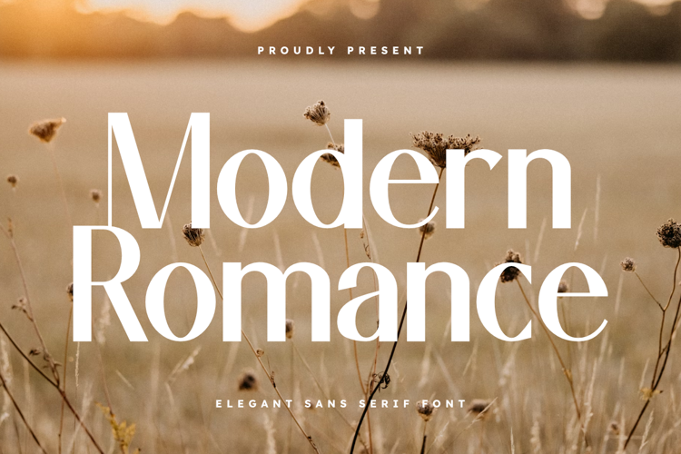 Preview of Modern Romance Font