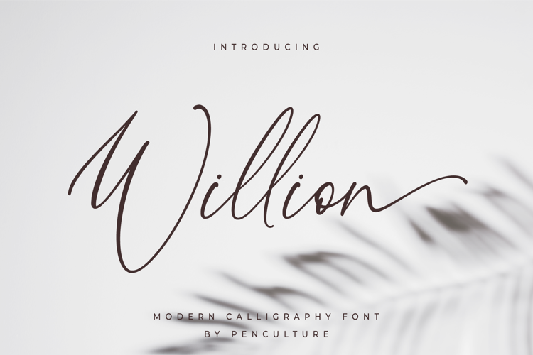 Willion Calligraphy Font