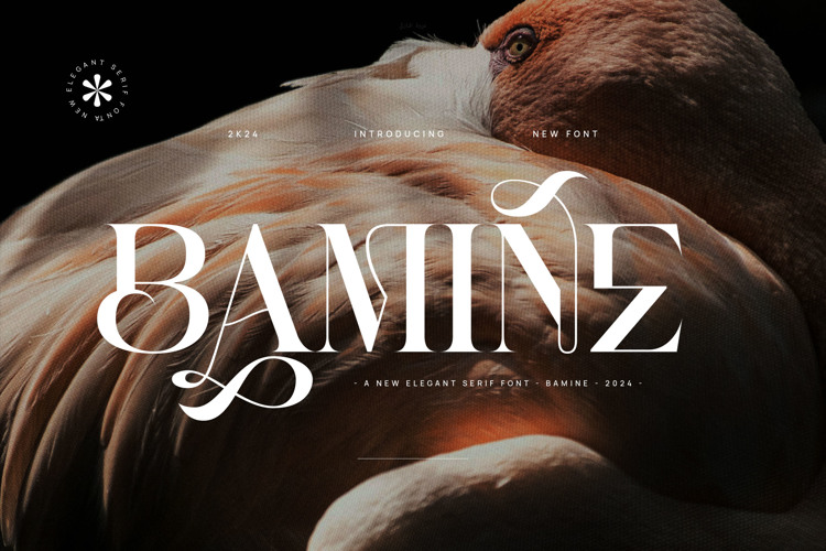 Preview of BAMINE Font