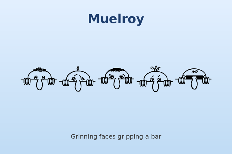 Preview of Muelroy Font