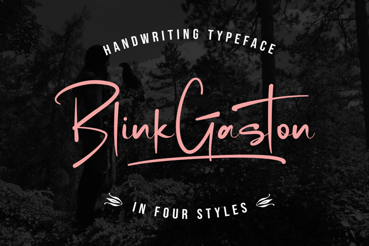 Blink Gaston Font